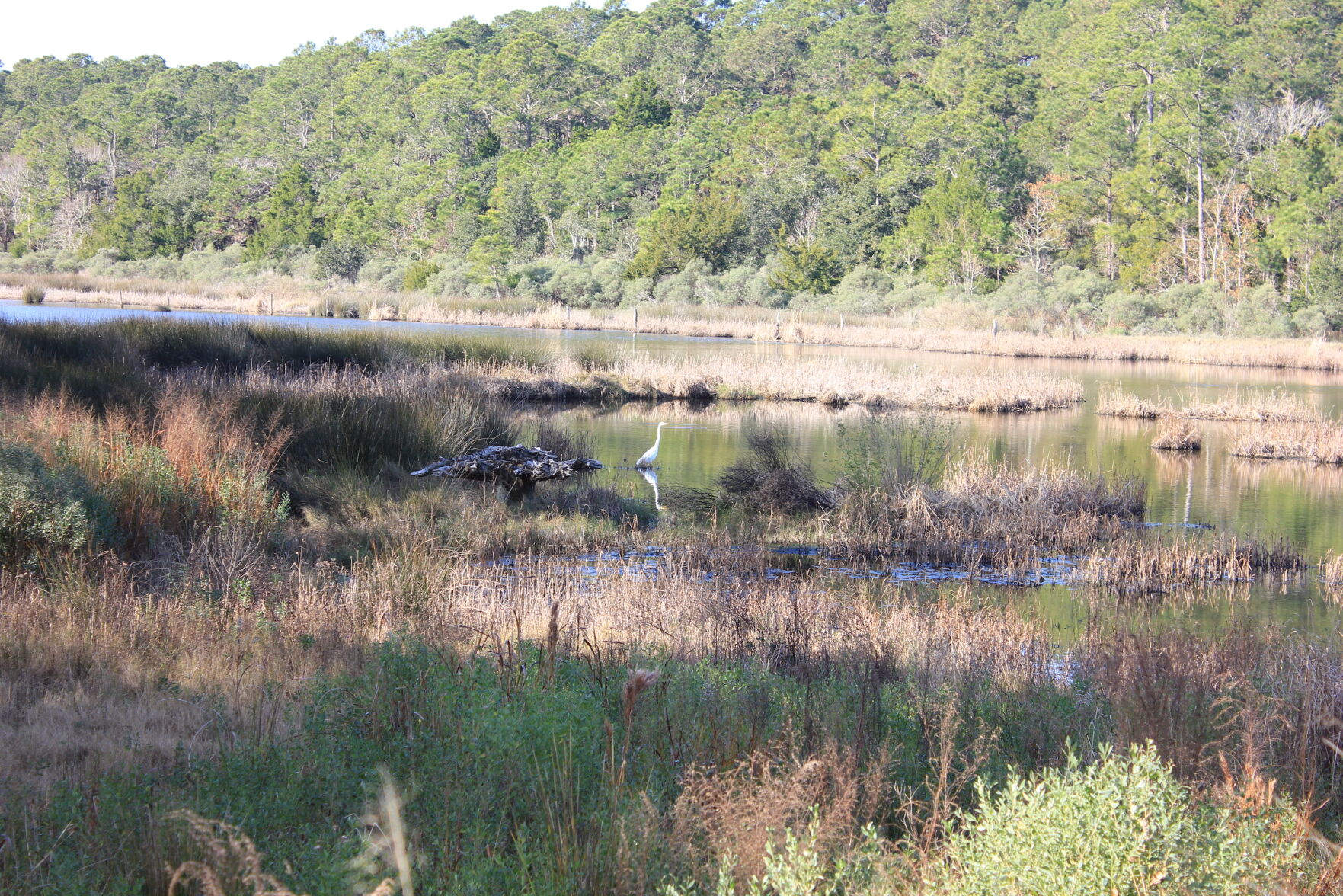 KI River Abbapoola creek
